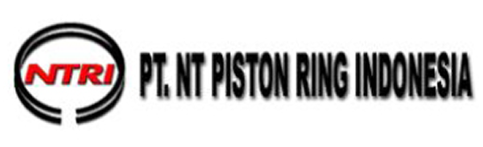 Piston Piston Logo
